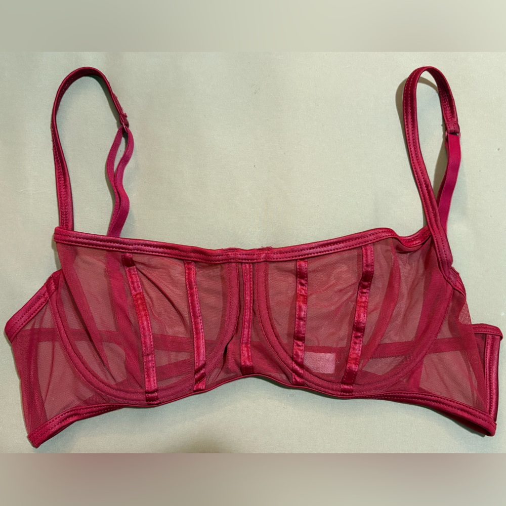 Intimately Free People Red Mesh Bralette